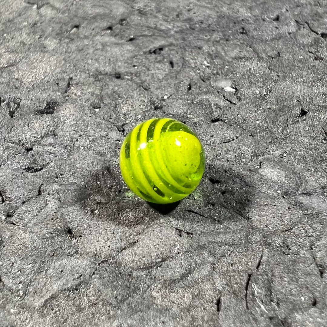 Algae Braintech Pearls