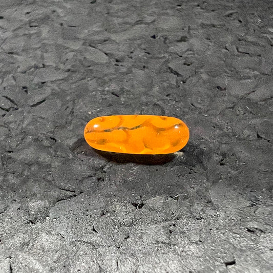 Algae Braintech - Mini Pills